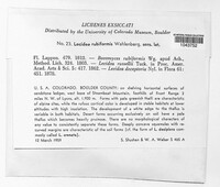 Image Associated With the Occurence